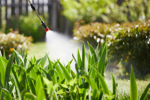 24/7 Emergency Cockroach Control experts in Moody AFB, GA