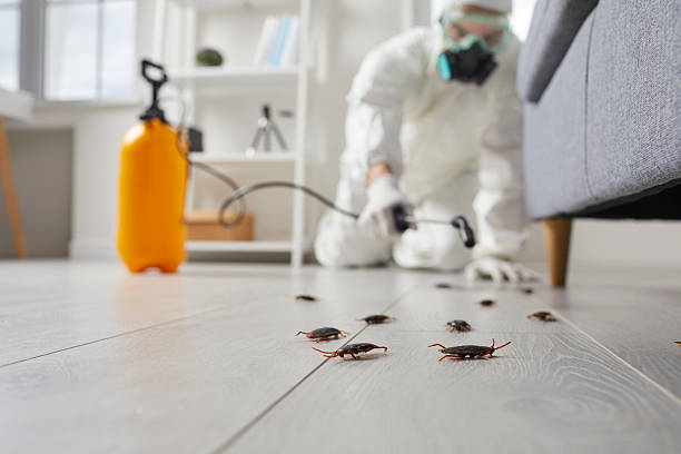 Trusted Cockroach Control service in Moody AFB, GA - Nex Pest Control