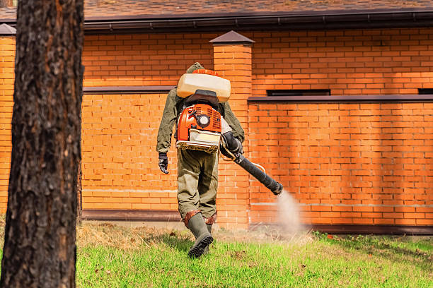 Trusted Mosquito Control service in Moody AFB, GA - Nex Pest Control